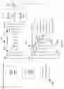 Fig. 75 - Artificial Intelligence Platform for Dental Claims Adjudication Prediction Based on Radiographic Clinical Findings