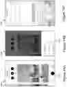 Fig. 13 - Automated Web Content Publishing