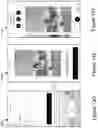 Fig. 14 - Automated Web Content Publishing