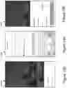 Fig. 17 - Automated Web Content Publishing