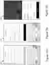 Fig. 18 - Automated Web Content Publishing