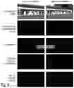 Fig. 06 - Panoramic image synthesis device, panoramic image synthesis method and panoramic image synthesis program