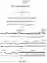 Fig. 08 - Fluid and resolution-friendly view of large volumes of time series data