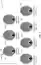Fig. 07 - K-space based method for reducing noise and dose of radiation or contrast for perfusion imaging
