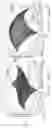 Fig. 10 - Image correction for ophthalmic images