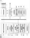 Fig. 03 - Image processing apparatus