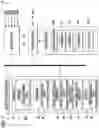 Fig. 07 - Image processing apparatus