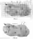 Fig. 05 - System and method for determining 3D surface features and irregularities on an object