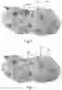 Fig. 06 - System and method for determining 3D surface features and irregularities on an object