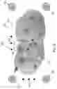 Fig. 07 - System and method for determining 3D surface features and irregularities on an object