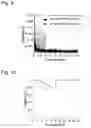 Fig. 11 - Stress analysis device