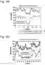 Fig. 20 - Stress analysis device