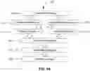 Fig. 08 - Methods of assessing lung disease in chest x-rays