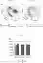 Fig. 06 - Artificial intelligence enabled reagent-free imaging hematology analyzer