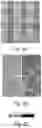 Fig. 10 - IMPROVED HISTOPATHOLOGY CLASSIFICATION THROUGH MACHINE SELF-LEARNING OF 