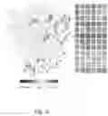 Fig. 16 - IMPROVED HISTOPATHOLOGY CLASSIFICATION THROUGH MACHINE SELF-LEARNING OF 