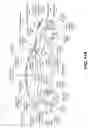 Fig. 12 - DISENTANGLEMENT OF IMAGE ATTRIBUTES USING A NEURAL NETWORK