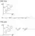 Fig. 03 - IMAGE PROCESSING DEVICE AND IMAGE PROCESSING PROGRAM