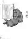 Fig. 12 - Method and apparatus for point cloud coding
