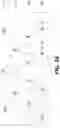 Fig. 17 - Method and apparatus for point cloud coding