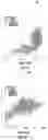 Fig. 11 - Agricultural modeling system with data fusion and related server computing resource and methods