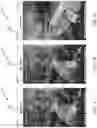 Fig. 09 - Method and apparatus for generating guidance among viewpoints in a scene