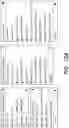 Fig. 16 - SYSTEMS AND METHODS FOR UNIVERSAL AUGMENTED REALITY ARCHITECTURE AND DEVELOPMENT