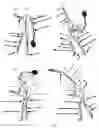 Fig. 19 - Method for Teaching Precision Body Movements and Complex Patterns of Activity