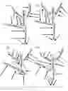 Fig. 22 - Method for Teaching Precision Body Movements and Complex Patterns of Activity