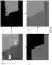 Fig. 08 - Content-aware PQ range analyzer and tone mapping in live feeds