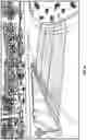Fig. 42 - VECTORIZATION FOR OBJECT DETECTION, RECOGNITION, AND ASSESSMENT FOR VEHICLE VISION SYSTEMS