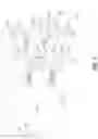 Fig. 04 - Analytic image format for visual computing