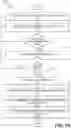 Fig. 18 - Analytic image format for visual computing