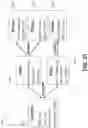 Fig. 23 - Analytic image format for visual computing