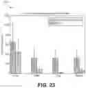 Fig. 25 - Analytic image format for visual computing