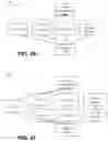 Fig. 30 - Analytic image format for visual computing