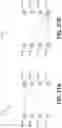 Fig. 34 - Analytic image format for visual computing