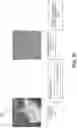 Fig. 38 - Analytic image format for visual computing