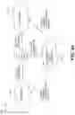 Fig. 47 - Analytic image format for visual computing