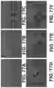 Fig. 80 - Analytic image format for visual computing