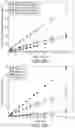 Fig. 99 - Analytic image format for visual computing