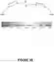 Fig. 06 - Electromagnetic emitters and detectors for electronic devices