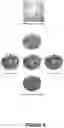Fig. 07 - Electromagnetic emitters and detectors for electronic devices