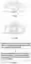 Fig. 09 - Iris recognition device, manufacturing method therefor and application thereof