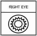 Fig. 01 - Iris authentication device, iris authentication method and recording medium