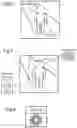 Fig. 03 - Iris authentication device, iris authentication method and recording medium