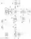 Fig. 33 - METHOD AND APPARATUS FOR AN ADAPTIVE AND INTERACTIVE TEACHING OF PLAYING A MUSICAL INSTRUMENT