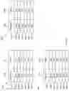 Fig. 47 - METHOD AND APPARATUS FOR AN ADAPTIVE AND INTERACTIVE TEACHING OF PLAYING A MUSICAL INSTRUMENT