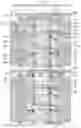 Fig. 13 - Light emitting display device