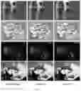 Fig. 09 - Color image processing method and device, electronic ink screen, and storage medium